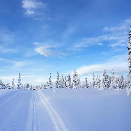 Amazing In With Sauna